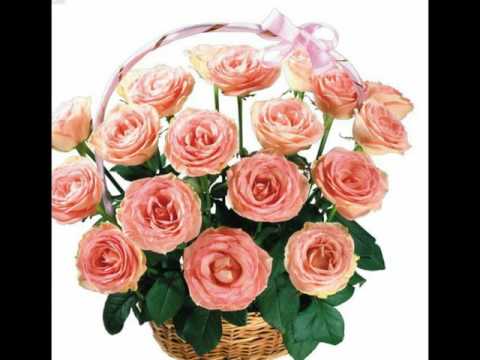 2018 أحلى باقة ورود الطبيعة Video