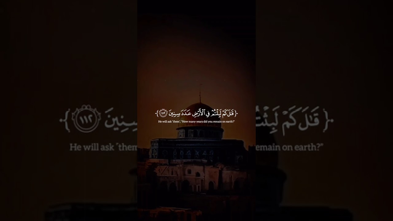 "جزاء الصابرين عند الله.. مقطع يبعث السكينة من سورة المؤمنون"