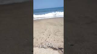 【宮崎】富土海水浴で一足先に夏を感じた動画#SHORTS