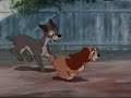 Lady And The Tramp Ever Chase Chickens Change Speed 0 90