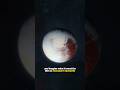 You Can Visit Pluto