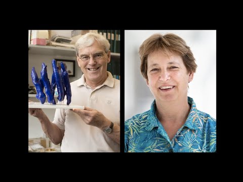 EM-X Symposium: December 7th, 2020