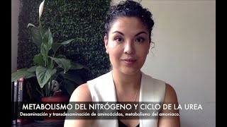 Metabolismo del nitrógeno y ciclo de la urea