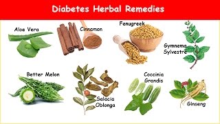 Diabetes Herbal Treatments