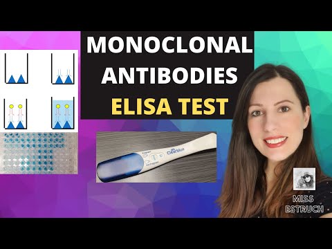 MONOKLONALE ANTIKÖRPER: Der ELISA-Test. Medizinische Behandlung, Diagnostik und Ethik im Abitur i...