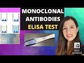 MONOCLONAL ANTIBODIES The ELISA Test Medical Treatment Diagnosis And Ethics For A Level Biology