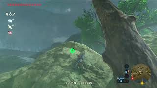 ゼルダの伝説 botw