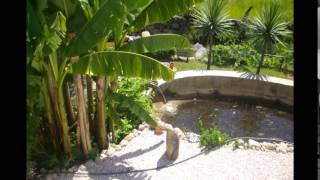 Ana´s Paradise Al Jarreau Heaven and Earth