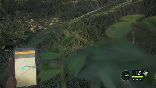 theHunterでちょっと自然界に殴り込み【無言配信】