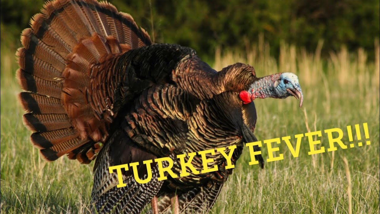 What are the dates of turkey season in North Carolina? Tipseri