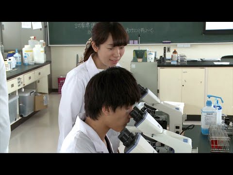 海洋生命科学科 『 臨床検査技師養成科』北里大学保健衛生専門学院