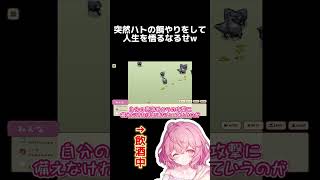 ハトに餌をあげたら何かを悟ったなるせ #nqrse #鳩