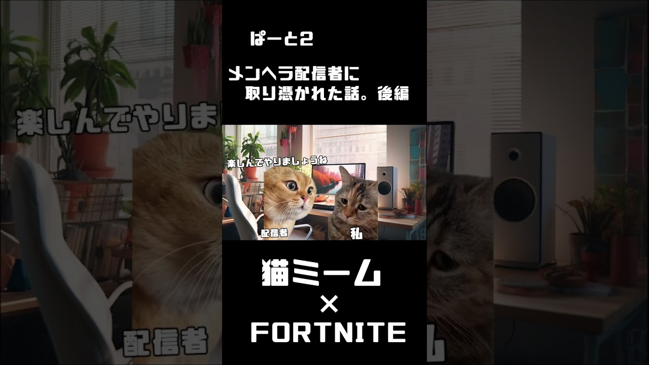 ぱーと2 メンヘラ配信者に取り憑かれた話。後編　#猫ミーム #フォートナイト
