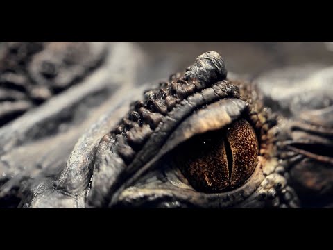 The Ghosts of Mars Trailer