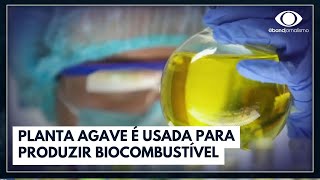 Miniatura do vídeo