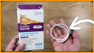What To Know About The Comfort Zone Cat Calming Collar - Pros & Cons