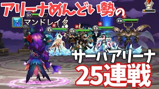 アリーナめんどくさい勢のサーバーアリーナ25連戦【#サマナーズウォー】