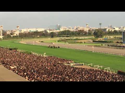 2018年天皇賞秋 最後の直線(レイデオロ)