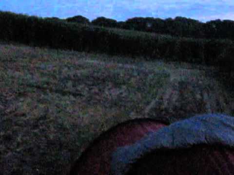 Germany   Dornitz Könnern)   field