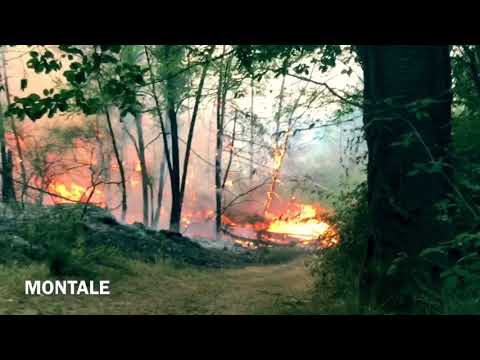 Antincendi Boschivi CSN - Prato 6 Wildfire Wildlandfirefighters🇮🇹 Volontari Regione Toscana