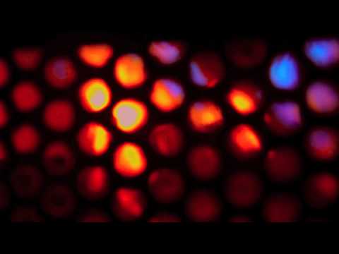 KGFREEZE - "Razzle Dazzle" (Official Music Video)