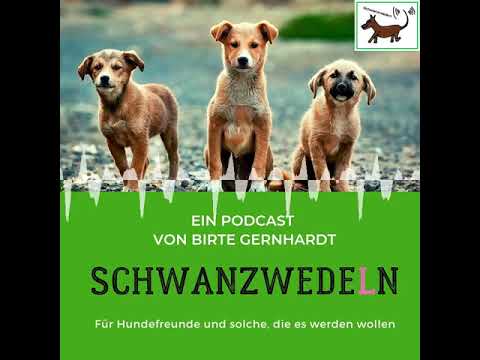 17 Alex hilft...Thema Welpen - Schwanzwedeln