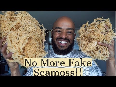 download lagu mp3 mp4 Best Sea Moss To Buy, download lagu Best Sea Moss To Buy gratis, unduh video klip Best Sea Moss To Buy