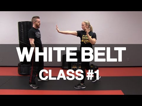 Introducción al Krav Maga - Clase de cinturón blanco n.° 1 (Postura y golpe con la palma)