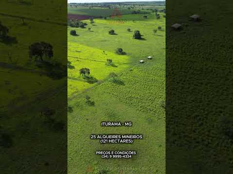 Fazenda dupla aptidão com 100% de aproveitamento em iturama Minas Gerais