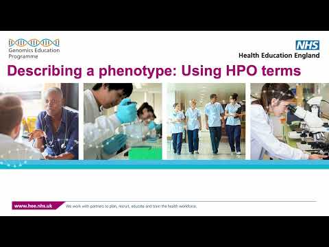 Describing a phenotype: Using HPO terms