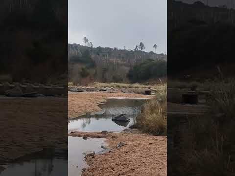 Entrando al río Talita, Alpa Corral, sierras del Sur de Córdoba. (par. 1) #hiking