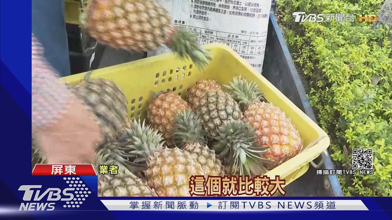 搭時事!救救鳳梨農 竟是一頁式廣告盜照