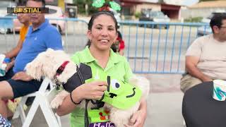 Purina Beggin' y su fiesta de disfraces de perritos “Howl-O-Ween” de Bestial Pet House