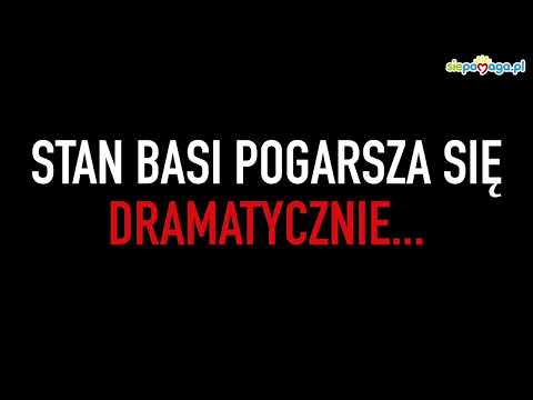 YouTube video preview image