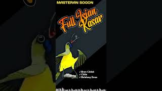 Download lagu MASTERAN SOGON JUARA -MATERI BREN CIBLEK, CILILIN, BELALANG EMAS #masteransogon #shortsviral mp3 Download lagu MASTERAN SOGON JUARA -MATERI BREN CIBLEK, CILILIN, BELALANG EMAS #masteransogon #shortsviral mp3