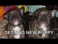 Family Is Getting Bigger Expecting New Puppy