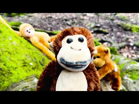 ROB ITALO DANCE - PIPPO FEAT. PIPPO (OFFICIAL VIDEO)