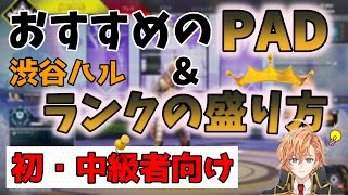 【APEX】渋谷ハルが教えるおすすめのPADとランクの盛り方【渋谷ハル切り抜き】