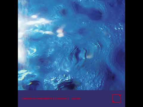 Fabiano Do Nascimento & E Ruscha V - Leaves