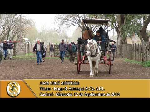 12-09-18 Nota Juan Cruz Aristegui - Titular - Hugo R. Aristegui y Cía. S.R.L. - Cacharí