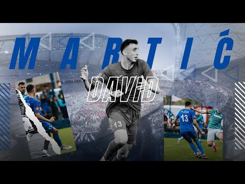 David Martic ● NK TOLMIN ● Centre back ● Highlights 24/25