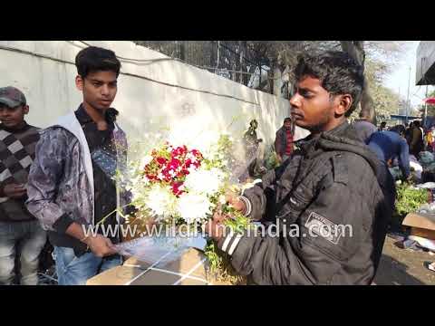 Bouquets of flowers being made before Valentine's Day at Ghazipur Phool Mandi flower market