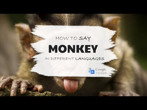 MONKEY - ANIMAL NAMES | HOW TO SAY | DIFFERENT LANGUAGES