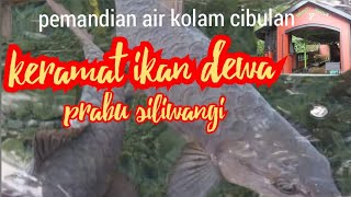 Download lagu sejarah dan legenda ikan dewa di pemandian air kolam cibulan - kuningan mp3