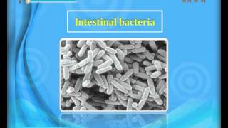 Download lagu iTTV UPSR Year 6 Science #3 Microorganism (Microorganism are Living Things) -Tuition mp3