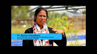 Know how ICRISAT is treating wastewater for agriculture