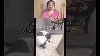 Foram só três anos para ele mas para o cão foi quase a vida inteira #shorts
