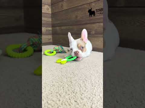Video 5