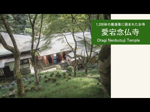 【京都観光】京都・嵐山/1,200体の羅漢像に囲まれた愛宕念仏寺【紅葉スポット】