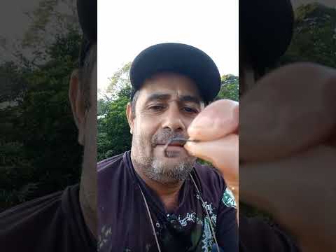 PESCARIA NO RIO CULUENE MATRINXÃ - CAMPINÁPOLIS-MT / RIO KULUENE